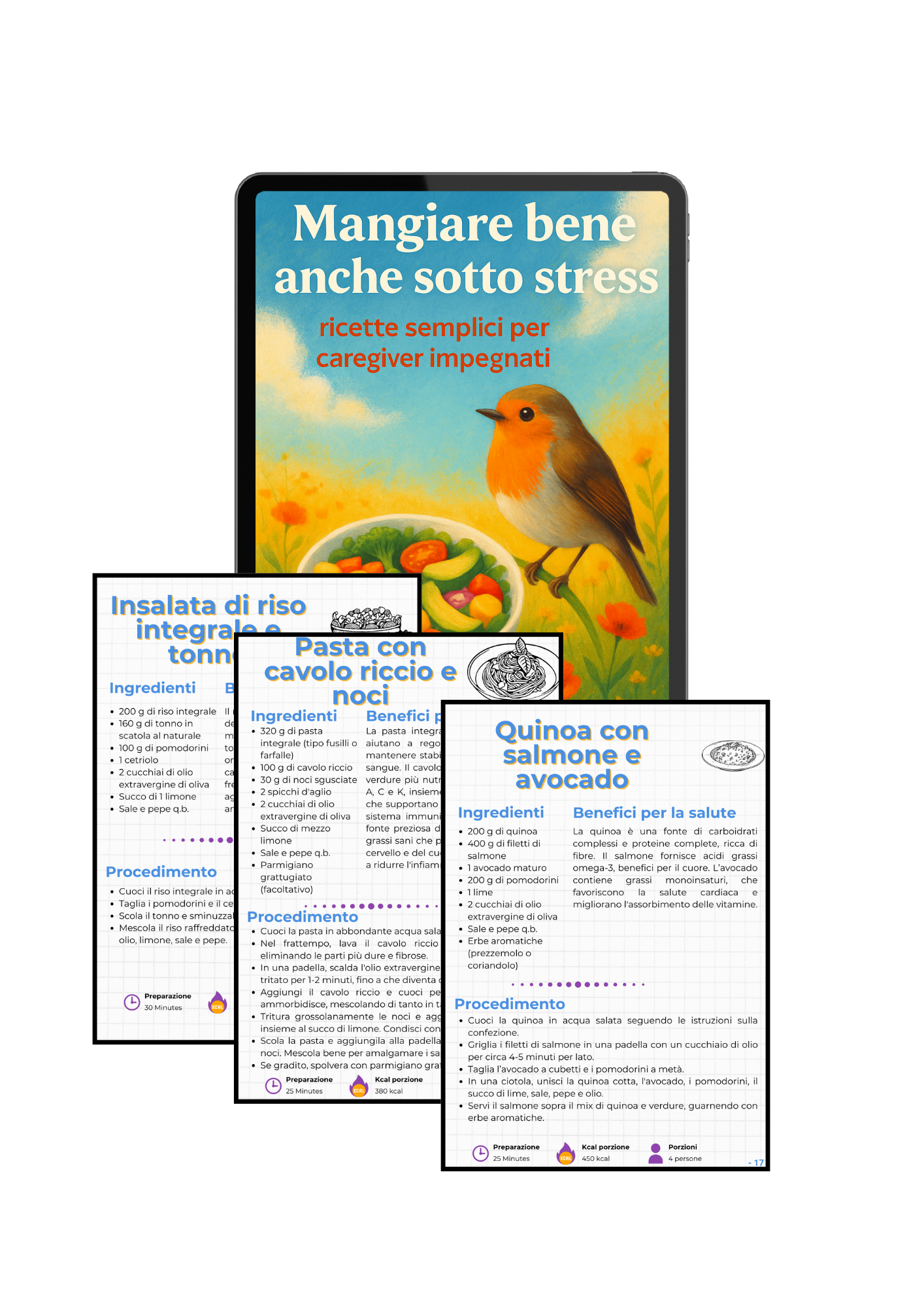 Il manuale del Pettirosso