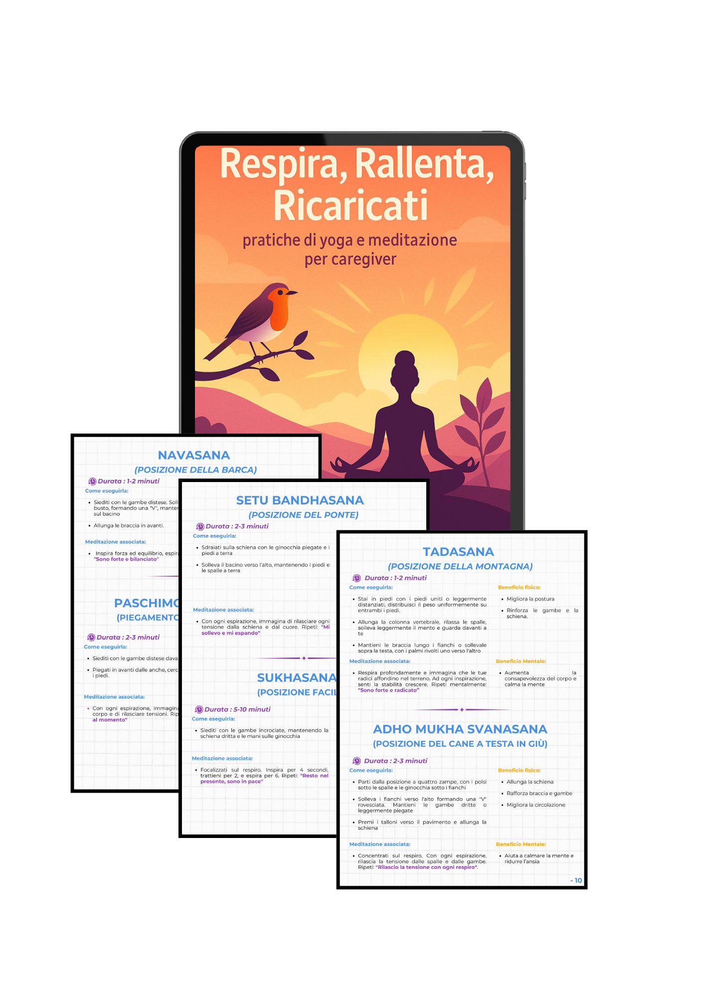 Il manuale del Pettirosso